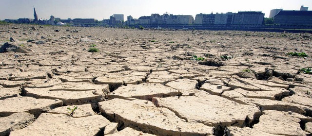 Der Klimawandel sorgt dafr, dass es a...trocknete Fluss Rhein bei Dsseldorf.   | Foto: dpa