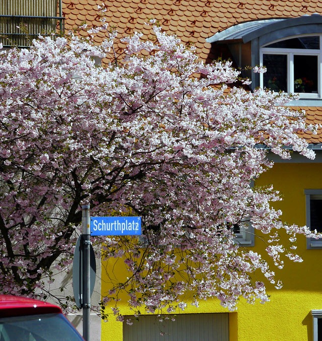 Das  warme Aprilwetter  sorgte um Woch...rhlingsbunte Farbtupfer in Neustadt.   | Foto: Thomas Winckelmann