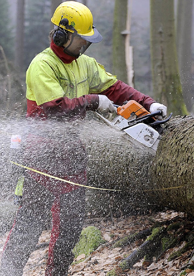 Die Nutzung des Rheinwaldholzes kann N...n, seine Energiebilanz zu verbessern.   | Foto: dpa