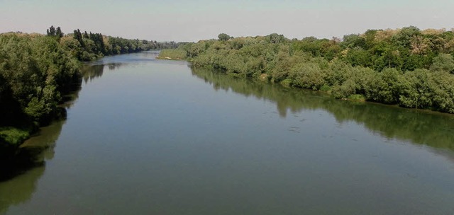 Der Rhein bei Neuenburg: Die Landesgar...adt  wieder nher an ihn heranrcken.   | Foto: drescher