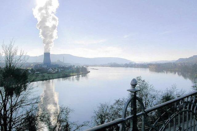 Schweizer Atomkraftwerke bleiben trotz Mängeln am Netz