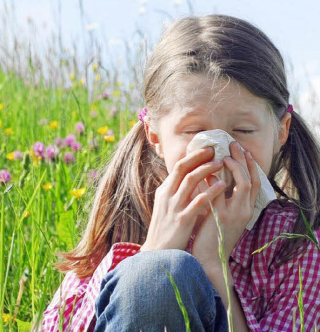 Vor allem gegen Grser und Bume sind viele  allergisch.  | Foto: fotolia.com/somenski