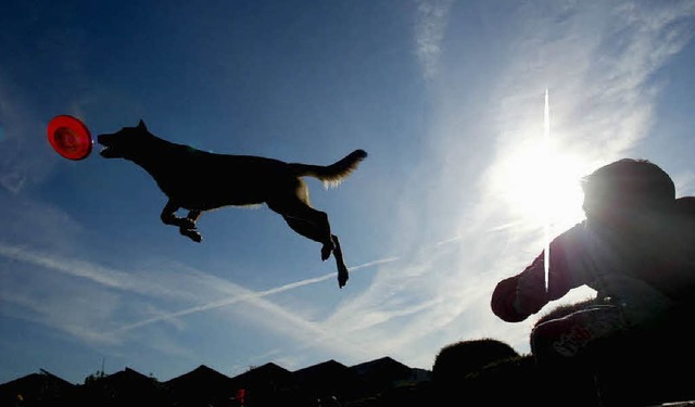 Um Vertrauen und Respekt zwischen Mensch und Hund geht es in Elzach.   | Foto:  Patrik Stollarz/ddp