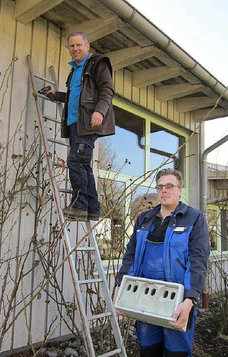 Arnold Bauer (auf der Leiter) und Domi...weren Sperlingskastens aus Holzbeton.   | Foto: Nabu