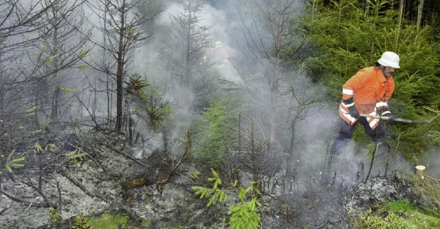 Rund 2000 Quadratmeter Wald sind am So...ch und Friedenweiler in Brand geraten.  | Foto: aqfo