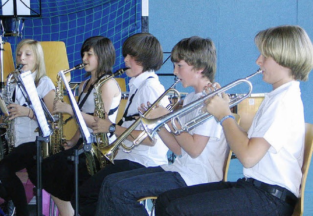 Das Vorstufenorchester des Musikvereins Wollbach.  | Foto: Ines Bode