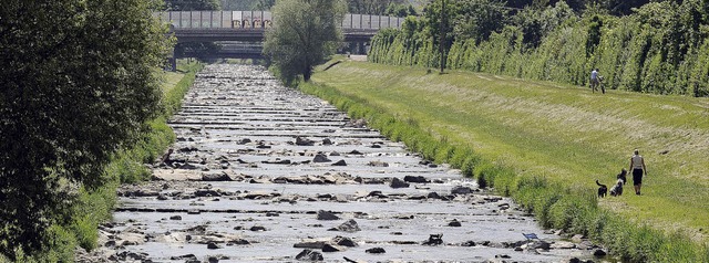 Wie im Hochsommer: die Dreisam bei Freiburg-Lehen.  | Foto: Ingo Schneider