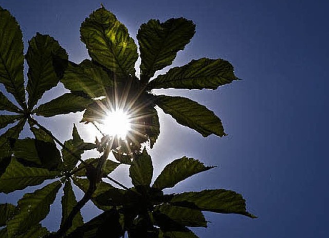 Mit der  Kraft der Sonne wird weltweit immer mehr Energie erzeugt.   | Foto: Arno Burgi