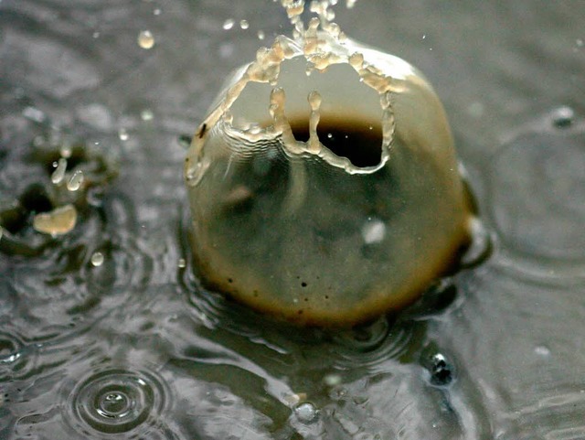 Bald kommt der Regen. | Foto: dpa Bald kommt der Regen. | Foto: dpa