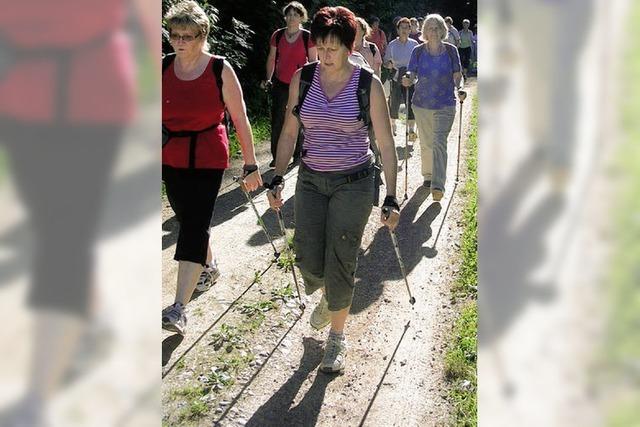 Fit mit Nordic Walking