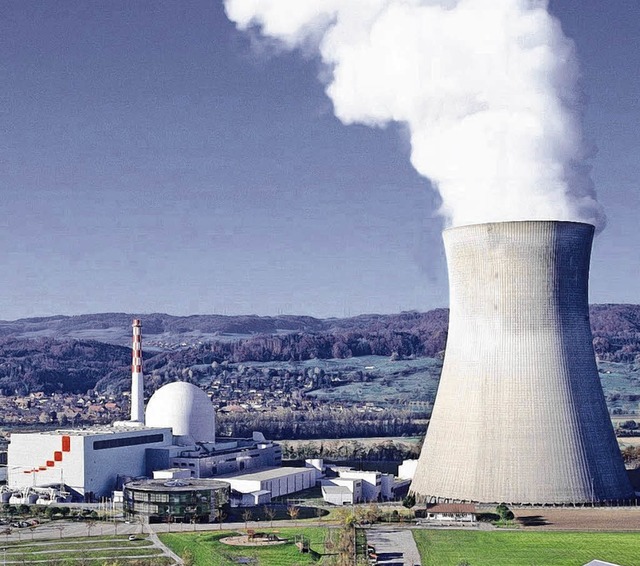 Auch auf die Atomkraftwerke der Schwei...-Hochschwarzwald in einer Resolution.   | Foto: Kernkraftwerk Leibstadt