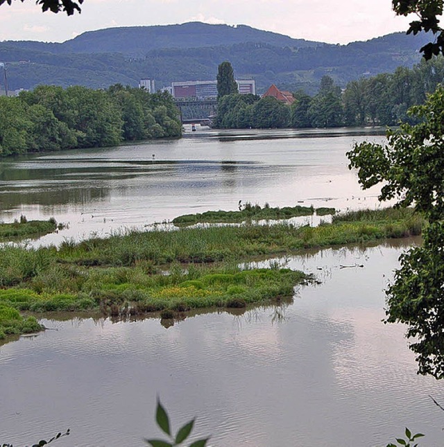 Zone 2 im Altrhein ist sowieso tabu, a...one 1 wollen die Fischer mehr Rechte.   | Foto: Archiv: mar