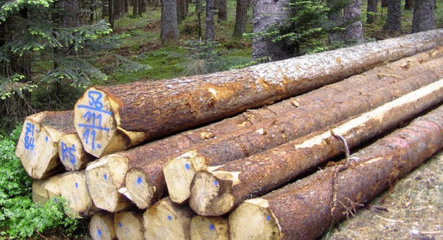Frisch eingeschlagenes Holz am Bhlert...neben Naturverjngung von Weitannen.   | Foto: Liane Schilling