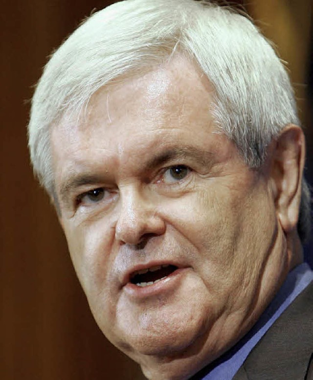 Newt Gingrich   | Foto: DPA