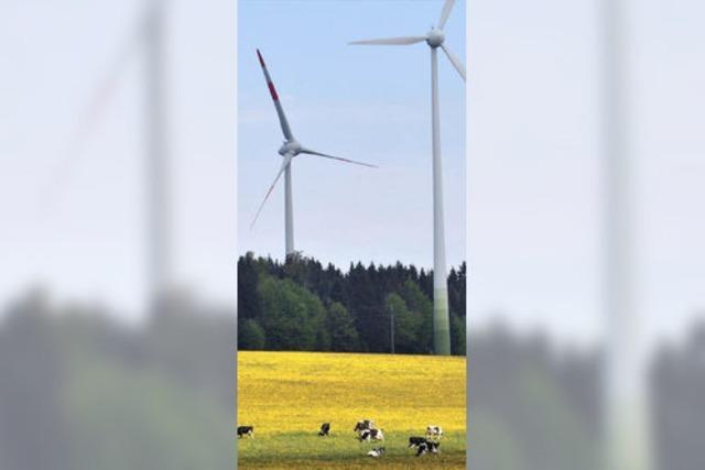Glottertler Brger werden zur Windkraft befragt