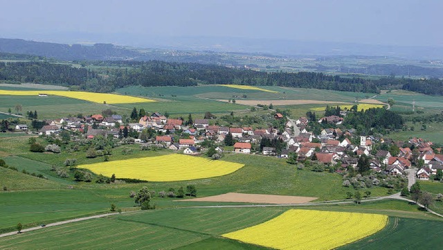 In voller Blte stehen derzeit die Rap...hen (im Bild Reiselfingen) berziehen.  | Foto: Christa Maier