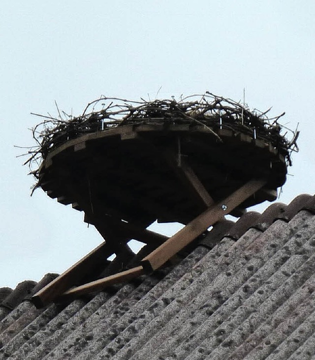 Dundenheim wartet auf erste Strche.   | Foto: dieter fink