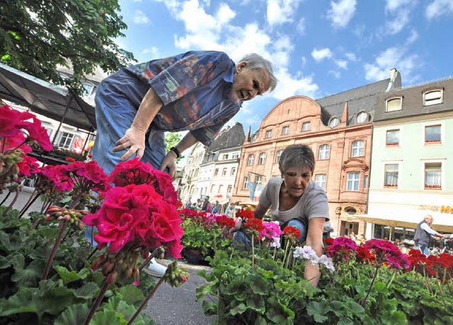 Geranien bleiben der Renner auf dem Blumenmarkt der Stadt Lrrach.   | Foto: Barbara Ruda