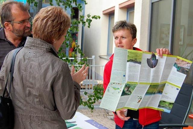 Fotos: Naturparkmarkt in Elzach