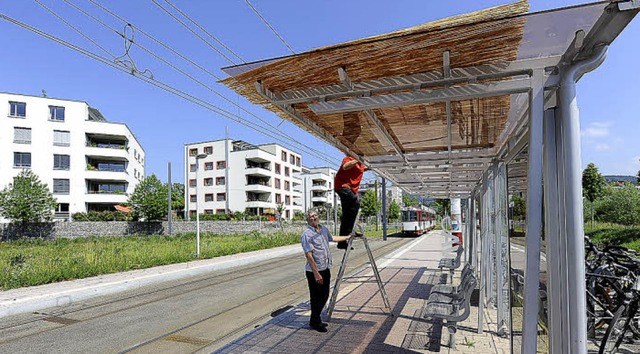 Mit einer Schilfrohrmatte improvisiere... einen Sonnenschutz am Wartehuschen.   | Foto: Ingo Schneider