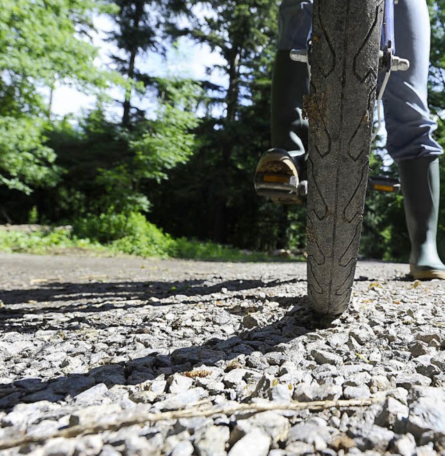 Wacklige Fahrt auf spitzen Steinen im Mooswald.   | Foto: Ingo Schneider