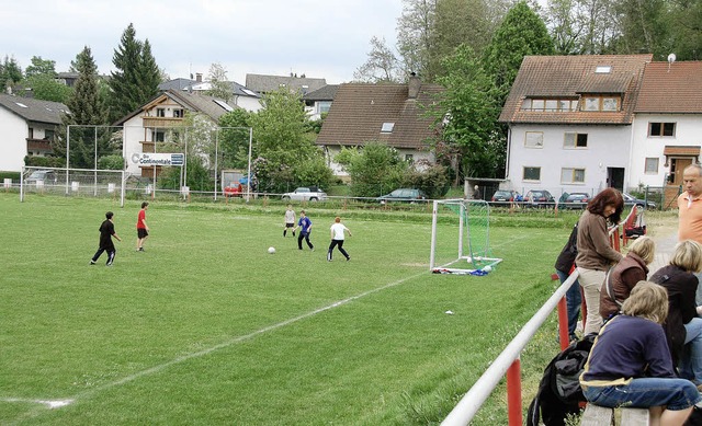 Auf dem 2,4 Hektar groen Kickplatz in...n 40 Einfamilienhuser gebaut werden.   | Foto: Umiger