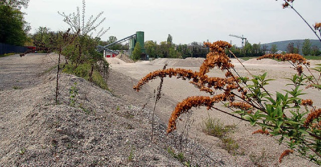 Auf dem Gelnde der alten Wyhlen Kiesg... Rheinarm und 500 Luxuswohnungen vor.   | Foto: Annette Mahro