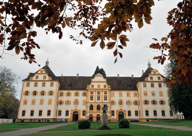 Sanierungsbedrftig: Das Schloss Salem  | Foto: dpa