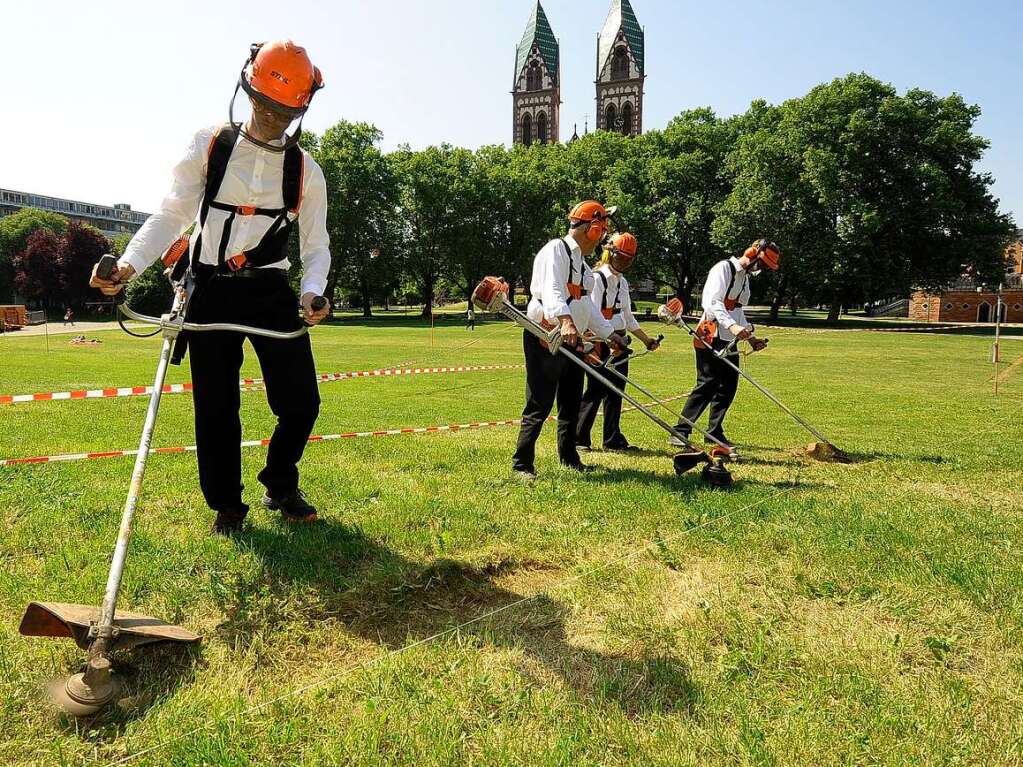 Entstehung des Rasenkunstprojekts vor der Herz-Jesu Kirche im Freiburger Stadtteil Sthlinger.