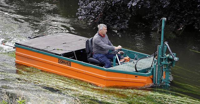 Thomas Danzeisen mht mit einem Spezialboot das Fischkraut in der Elz.   | Foto: Bernhard Rein