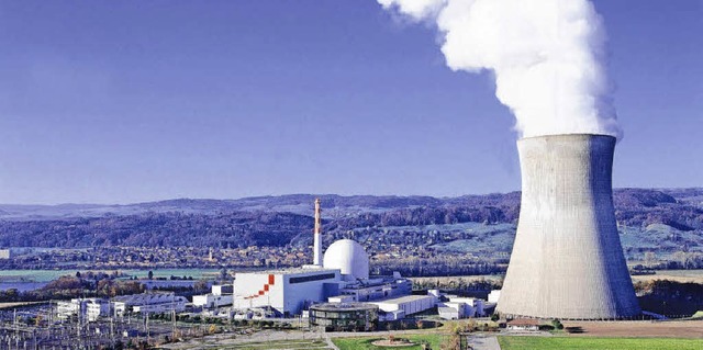 Geschtzt gegen den Absturz eines  Ver...tersuchung der Atomaufsichtsbehrde.    | Foto: Kernkraftwerk Leibstadt