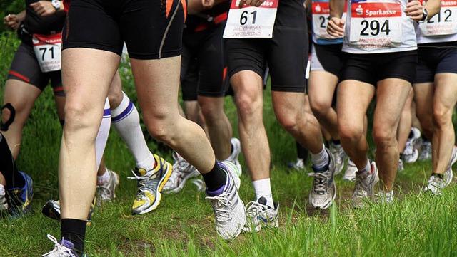 Insgesamt 110 Läufer nahmen entweder a...ck Forest Trailrun in Simonswald teil. | Foto: © 2011 Daniel Fleig Insgesamt 110 Läufer nahmen entweder a...ck Forest Trailrun in Simonswald teil. | Foto: © 2011 Daniel Fleig