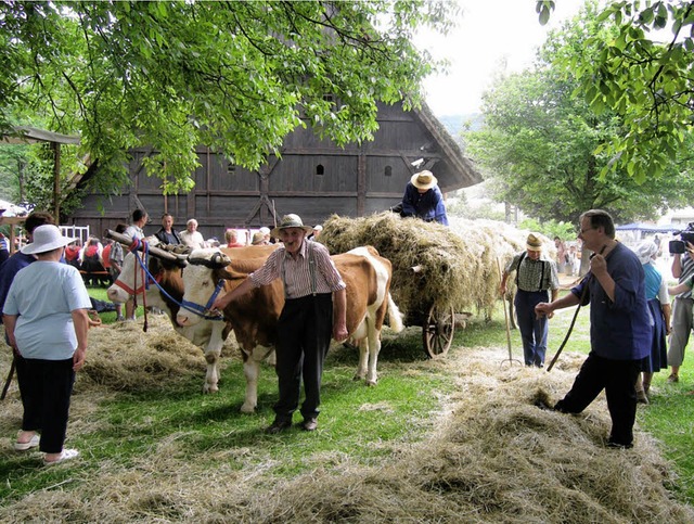 Prachtexemplare: Nach langer Suche ist...220; (rechts), schon 16 Jahre alt ist.  | Foto: hpw