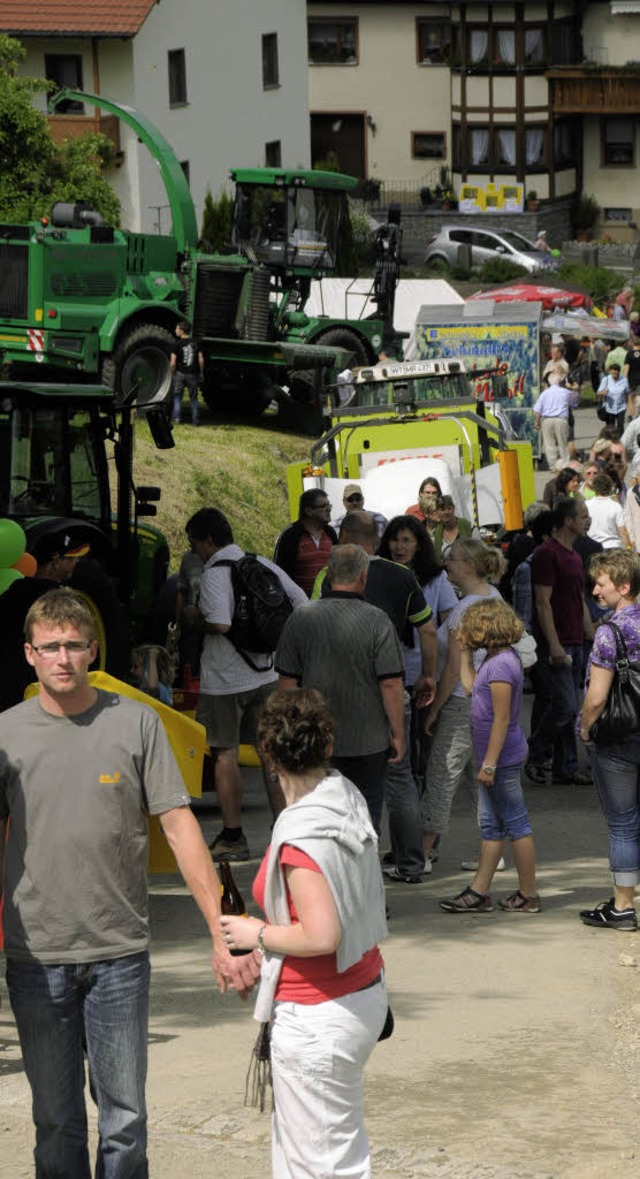 Den ganzen Sonntag lang informierten s... Informationsstnden der Aussteller.    | Foto: Dietmar Noeske