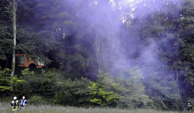 Starker Rauch beim Eintreffen der Wehr...Waldbrand in Mllheim in diesem Jahr.   | Foto: Volker Mnch