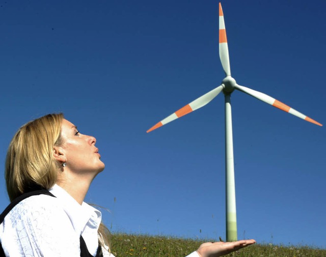Windkraft wird  im Hochschwarzwald wieder zum Thema.   | Foto: Ph. Thines