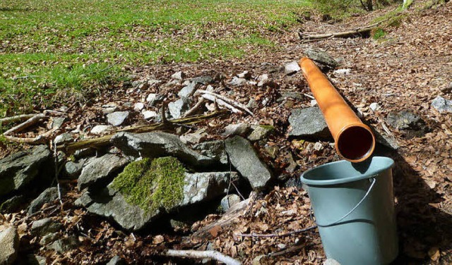 Manch einstiger Bach im Hotzenwald ist derzeit nicht mal mehr ein Rinnsaal.   | Foto: Archivfoto: Schneich