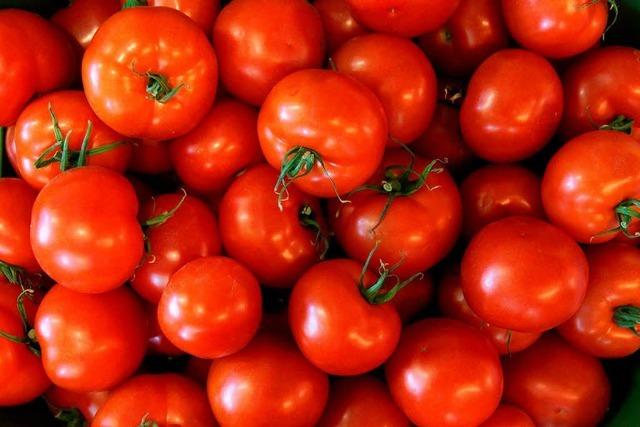 Ehec: Warnung vor Tomaten, Salatgurken und Blattsalat aus Nordeutschland