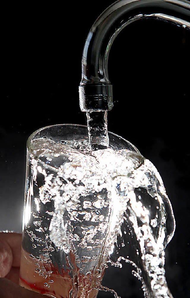2013 soll das erste Trinkwasser durch den Filter flieen.   | Foto: dpa