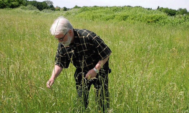 Fr Hansleo Spahl (73), Segelflieger u...esten bietet Spahl Naturfhrungen an.   | Foto: Siefke