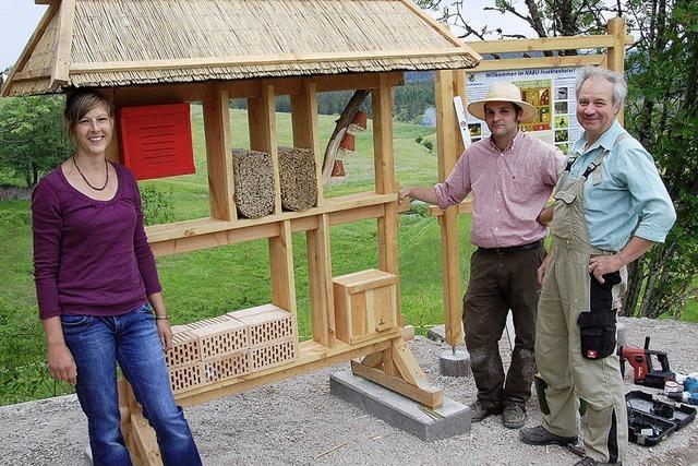 Ein Insektenhotel ergnzt den Bienen-Lehrpfad