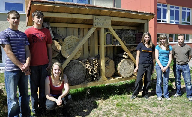 Ein Insektenhotel gibt es seit kurzem ...enkameraden das Schmuckstck gebaut.    | Foto: Kirsten Lux