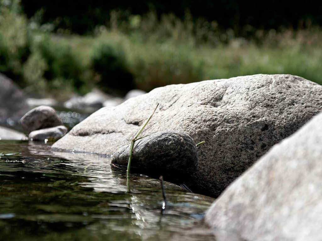 Eher ein Bchle als ein Fluss - die  Dreisam beim E-Werk in Freiburg