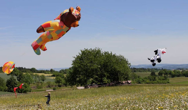 Dalmatiner, Bren, Rokkakudrachen oder...enfest in den tiefblauen Sommerhimmel.  | Foto: Martha Weishaar