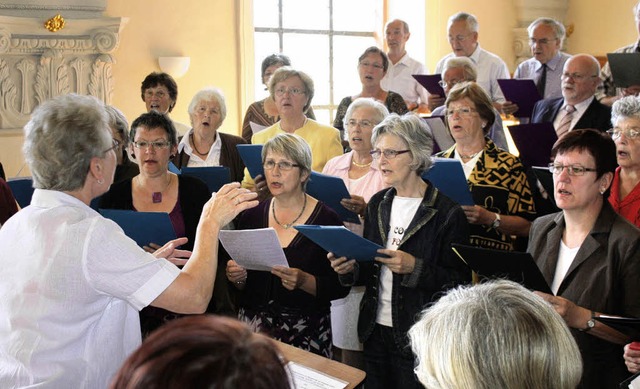 Der Kirchenchor Grafenhausen hat den Festgottesdienst umrahmt.   | Foto: Gemeinde