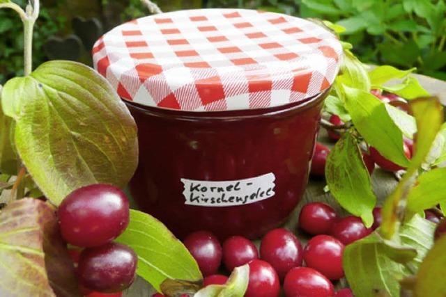 REZEPTE: LECKERES AUS DER FRUCHT