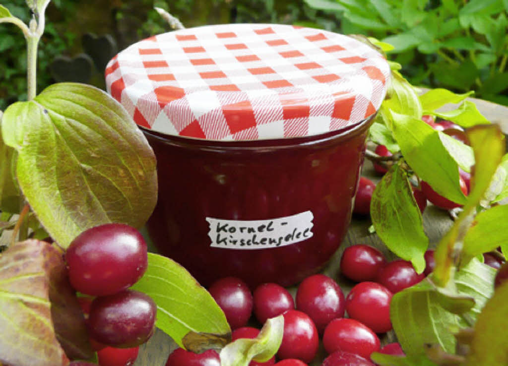 REZEPTE LECKERES AUS DER FRUCHT Haus & Garten Badische Zeitung