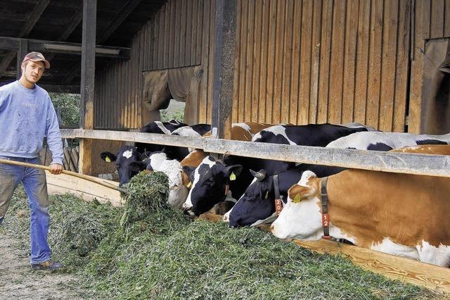 Landwirte sitzen auf dem Trockenen