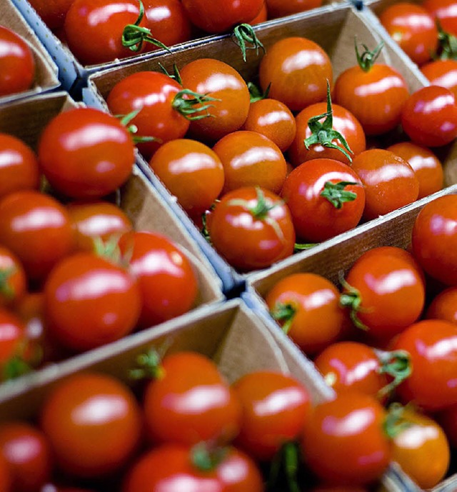 Unerwnscht sind in Russland Tomaten aus Europa.  | Foto: dpa