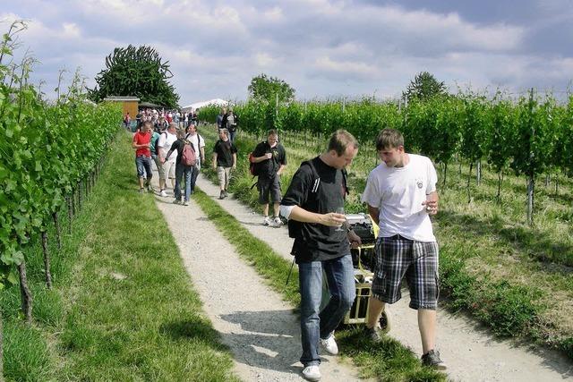 Weinseliger Rundkurs